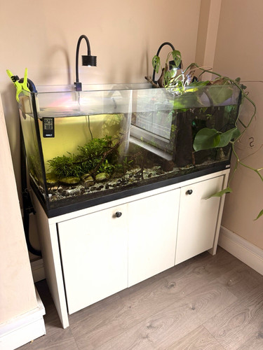 Glass 240l freshwater - 240l,
