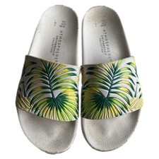 Atmosphere Tropical Palm Leaf