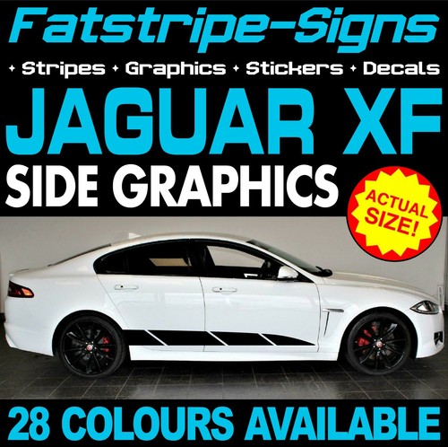 Fit jaguar graphics - fit,