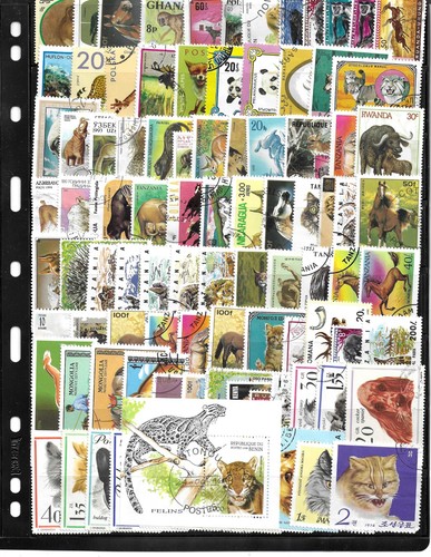 Wild life thematic collection - wild,