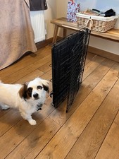 Dog Crate Small Foldable