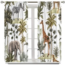 Tropical Rainforest Animals