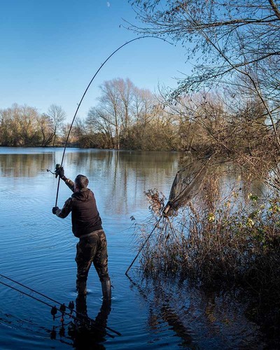 Fox eos carp - fox,