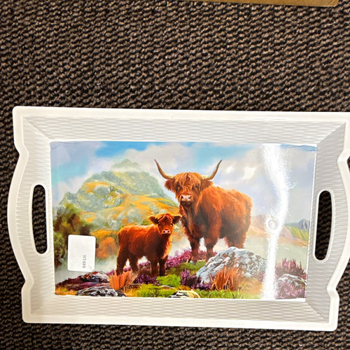 Large white plastic serving - white,