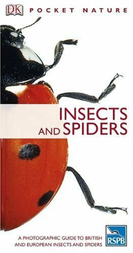 Insects and spiders rspb - insects, (rspb