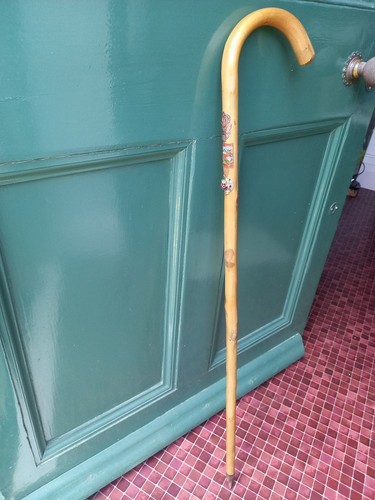 Vintage ramblers hiking staff - hiking,