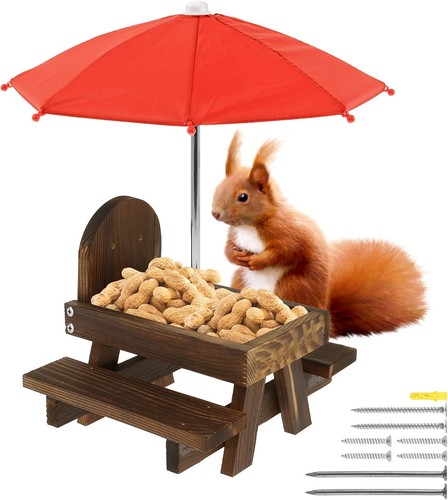 Squirrel feeder for outdoor - feeder,