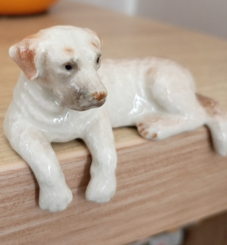 Cute vintage labrador - cute!,