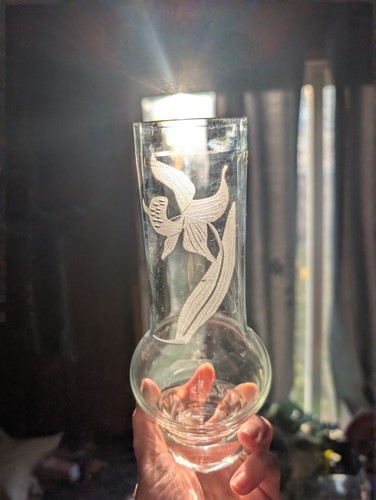 Dorothy thorpe etched - dorothy,