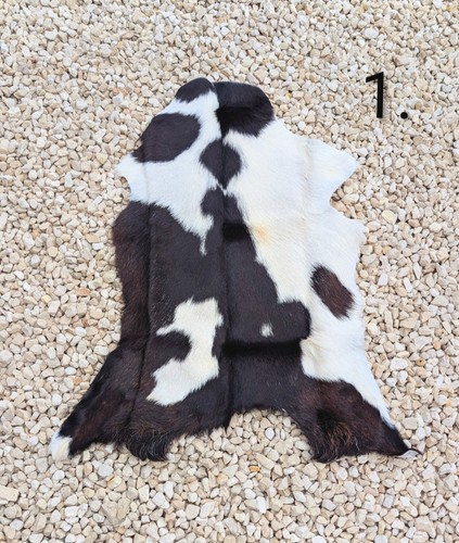Goathide rug skulls bones - goathide,