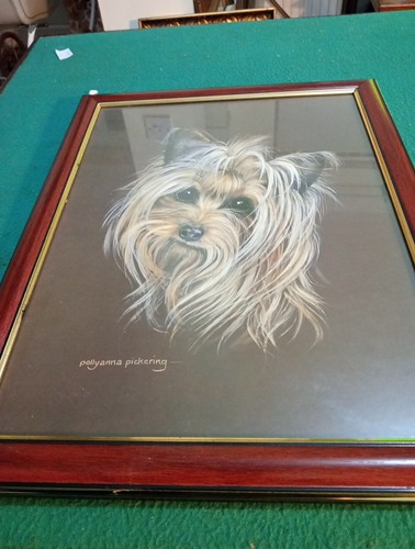 Pollyanna pickering yorkie - pollyanna,