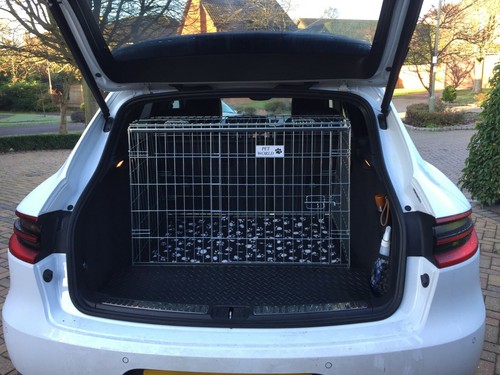 Pet world porsche - porsche, macan