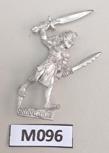Wood elf wardancer - elf,