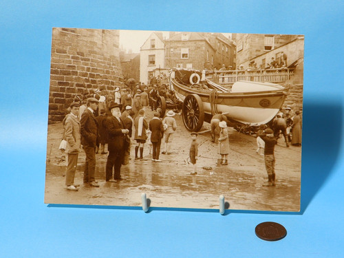 Valeriana lifeboat robin - valeriana,