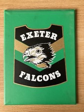 Exeter falcons 1980s - 1980s, speedway