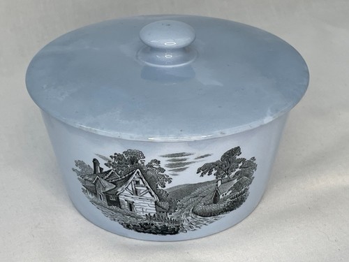 Vintage copeland spode - spode, blue