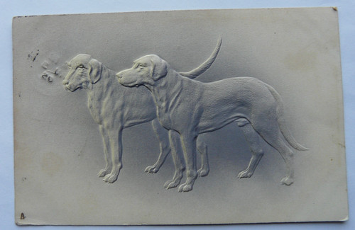 Dogs two fox - dogs:, fox-hounds.