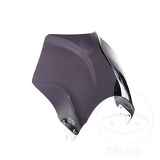 Windshield Raptor Puig Dark