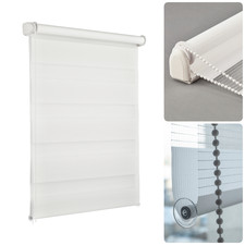 Day & Night Zebra Vision