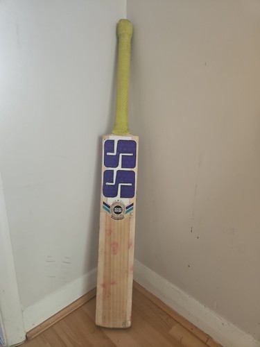Champion cricket bat - champion,