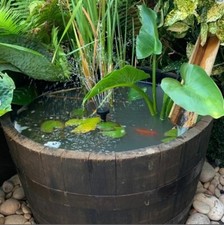 Extra Large Oak Whiskey Half