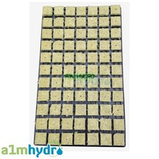 Grodan 36mm SBS Rockwool Propagation Grow Cubes Tray Of 77 Starter Hydroponics