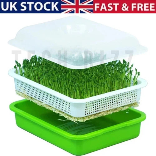 Microgreen sprouter tray - sprouter,