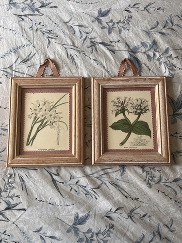 Matching set flower - flower, artwork