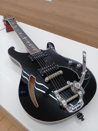 Prs hollow body custom 22 - hollow, se