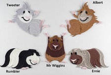 Cute Guinea Pig / Cavy