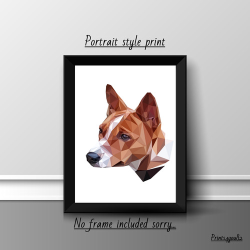 Basenji dog pet - pet, picture