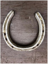 1 Genuine Pony Shoe Horseshoe