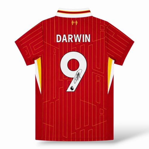 Darwin nunez signed liverpool - darwin,