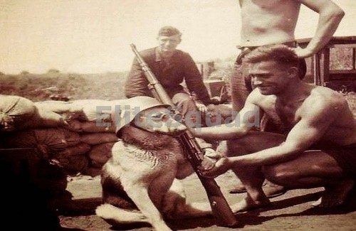 Ww2 photo picture german - ww2,