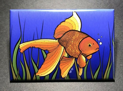 Psychedelic fantail goldfish - fantail,