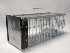 Rat trap squirrel heavy - rat, duty