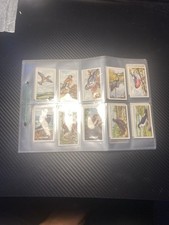 48 Brooke Bond bird Portrait Collectable Cards 50s/60s 