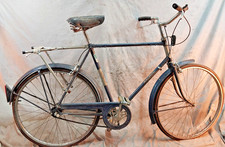 1980 Raleigh Sports Cruiser