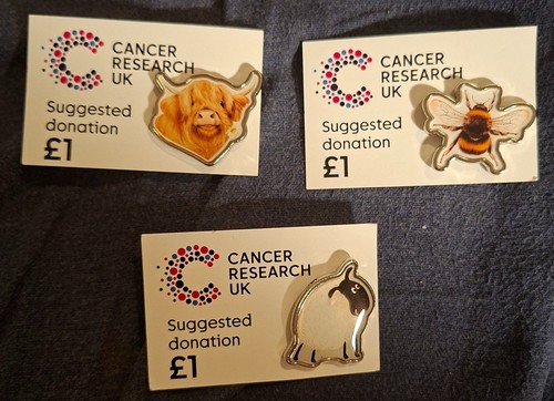 Charity pin badge cancer - badge,