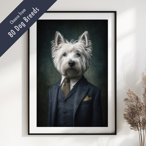 Smartly dressed dog - smartly,