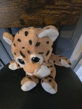 Baby Leopard or Cheetah Cat By