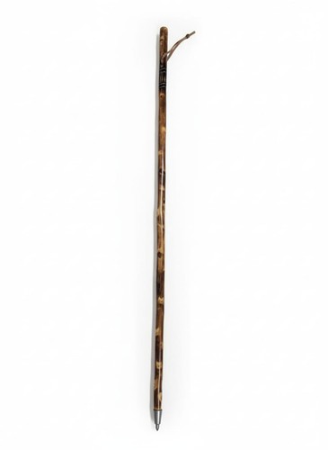 Hand flamed chestnut - chestnut, hiking