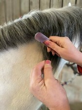 Smart Grooming Pro