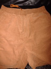 Carhartt Flint Cord Shorts