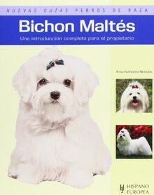 Bichon maltes maltese - bichon, /