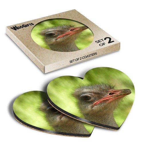 Heart mdf coaster ostrich head - mdf,