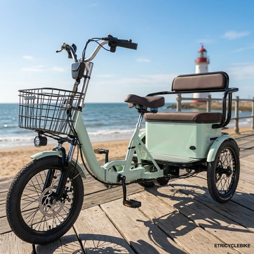 Adult electric tricycle - 18'',