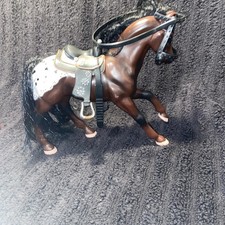 Grand Champion Bay Appaloosa