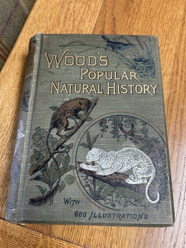 Antique book wood popular - antique, wood’s