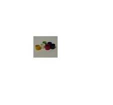 Racing pigeon plain - racing,
